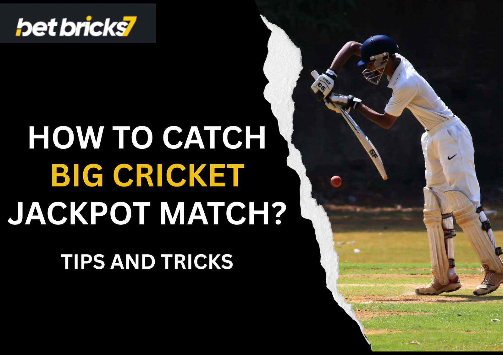 how to catch big cricket jackpot match