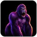 Dedicated Customer Support Feature Icon
